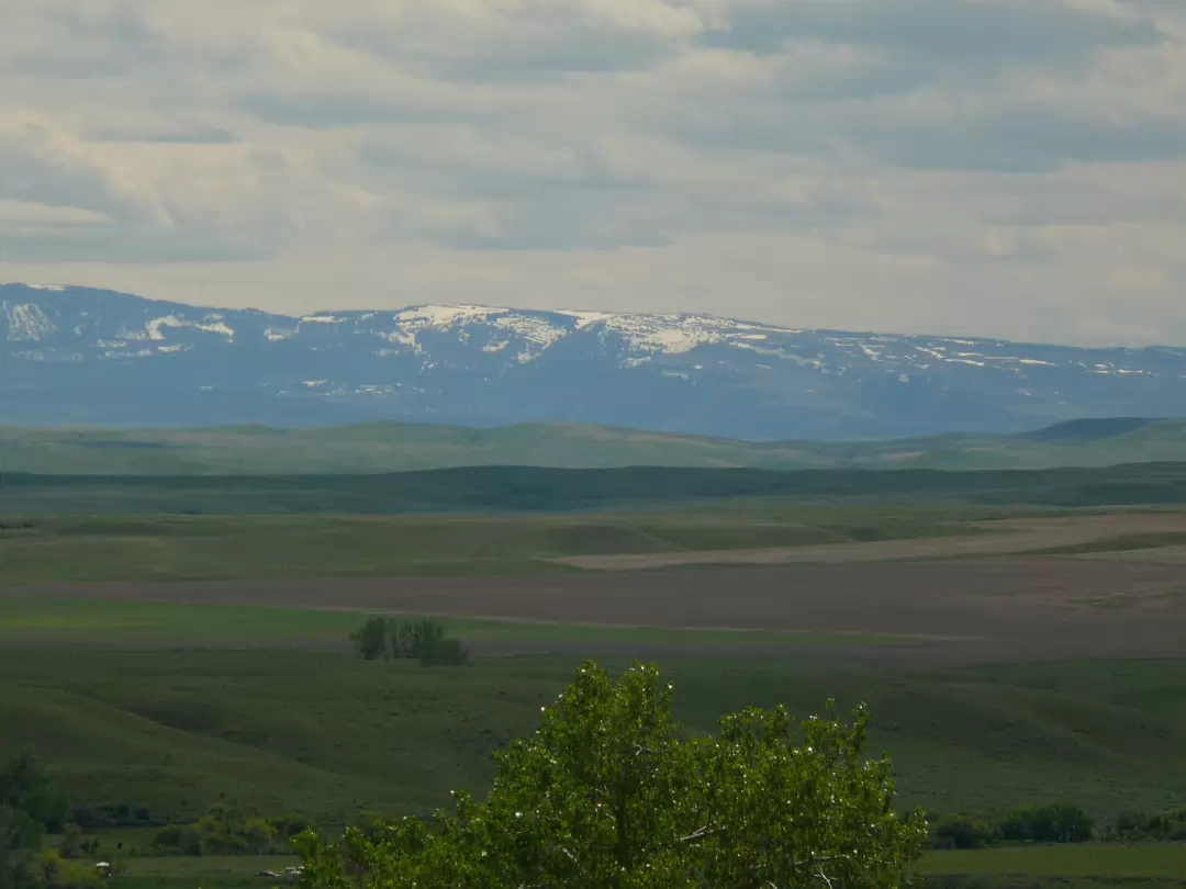 Custer-027