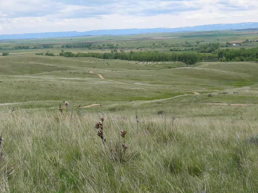 Custer-029