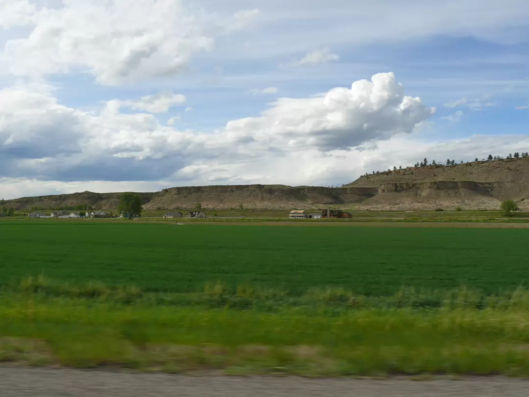 Custer-057