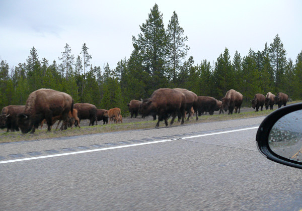 Yellowstone National Park Yellowstone National Park An exquisitely beautiful place