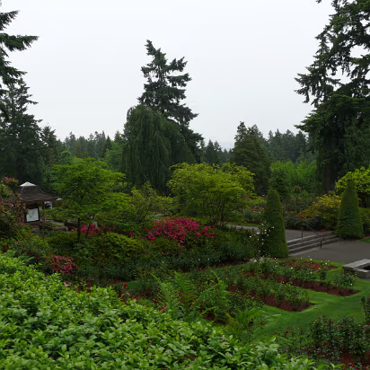 Area-012 Portland Rose Garden. Before imports, Portland grew most roses for the U.S.