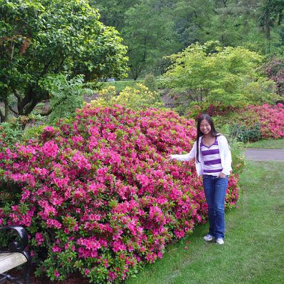 Area-017 Not roses, but still beautiful.