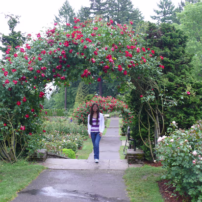 Area-019 Roses everywhere here, an archway outlines the path.