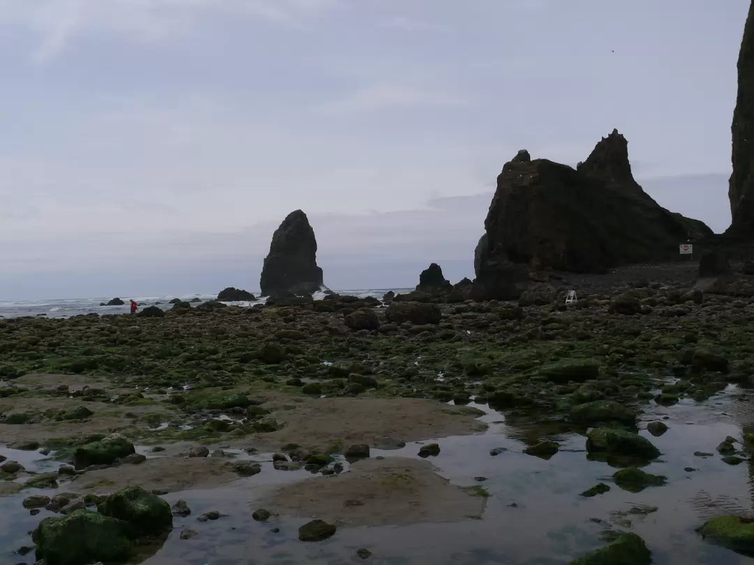 Ocean-015