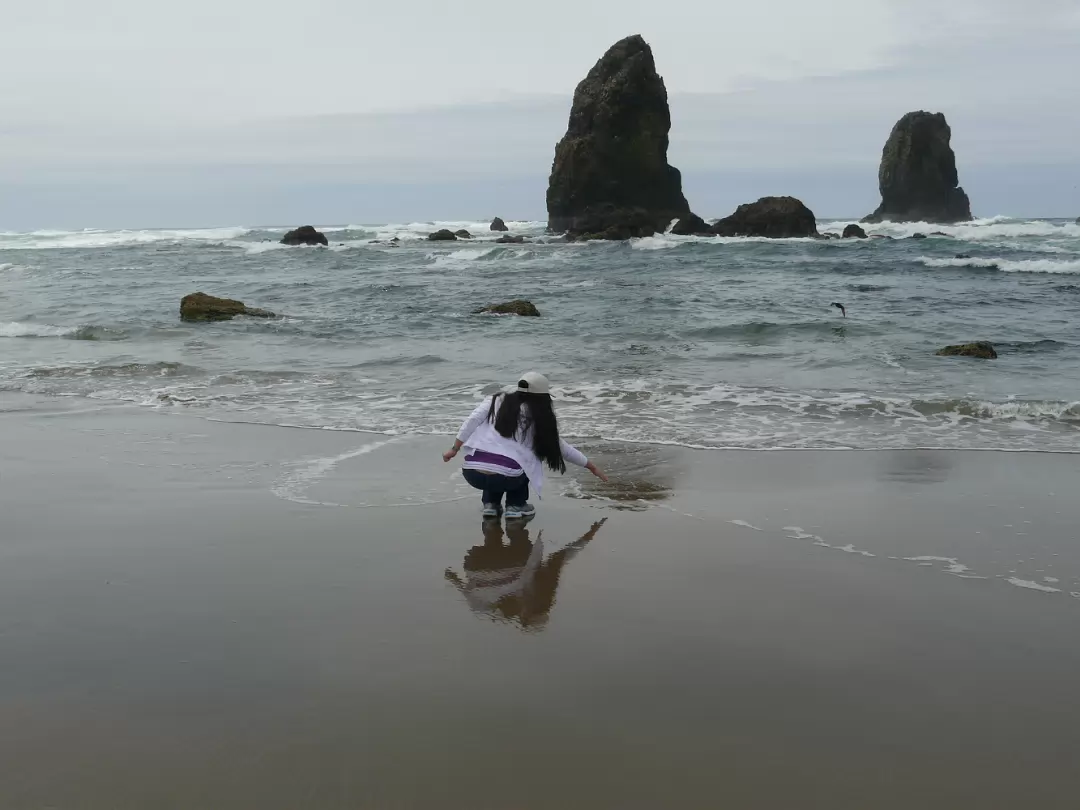 Ocean-024