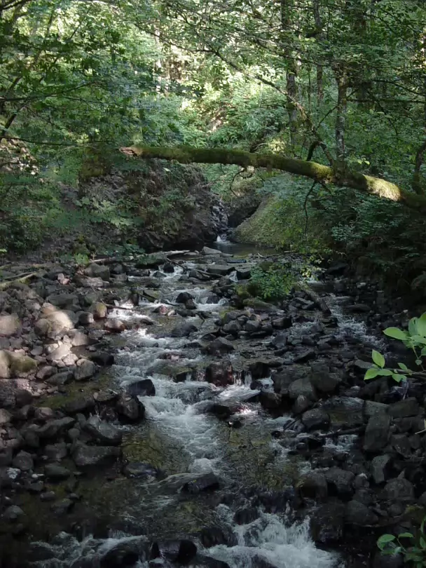 Oregon-024