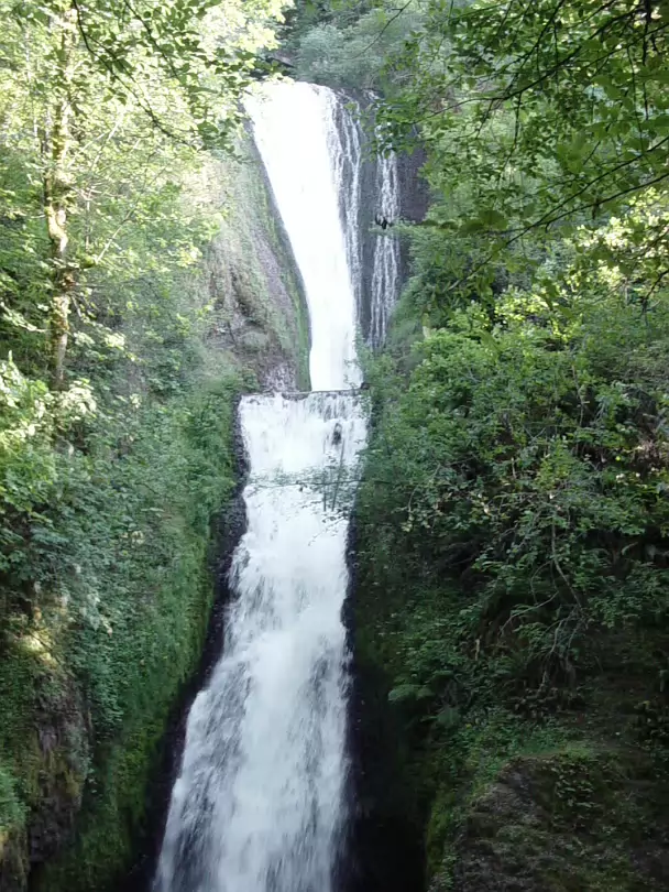 Oregon-026