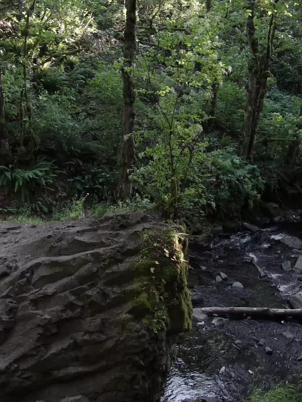 Oregon-029