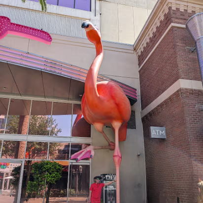 Las_Vegas_Area_2024-025