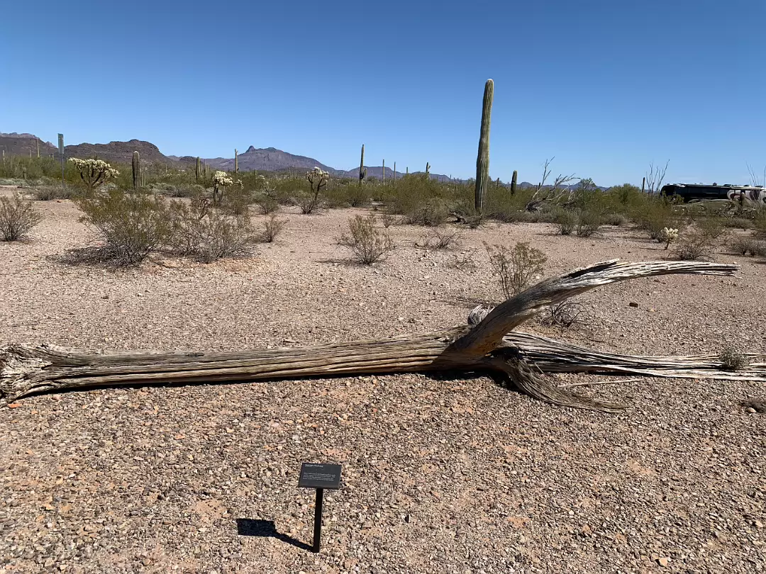 Southwest_2022-005