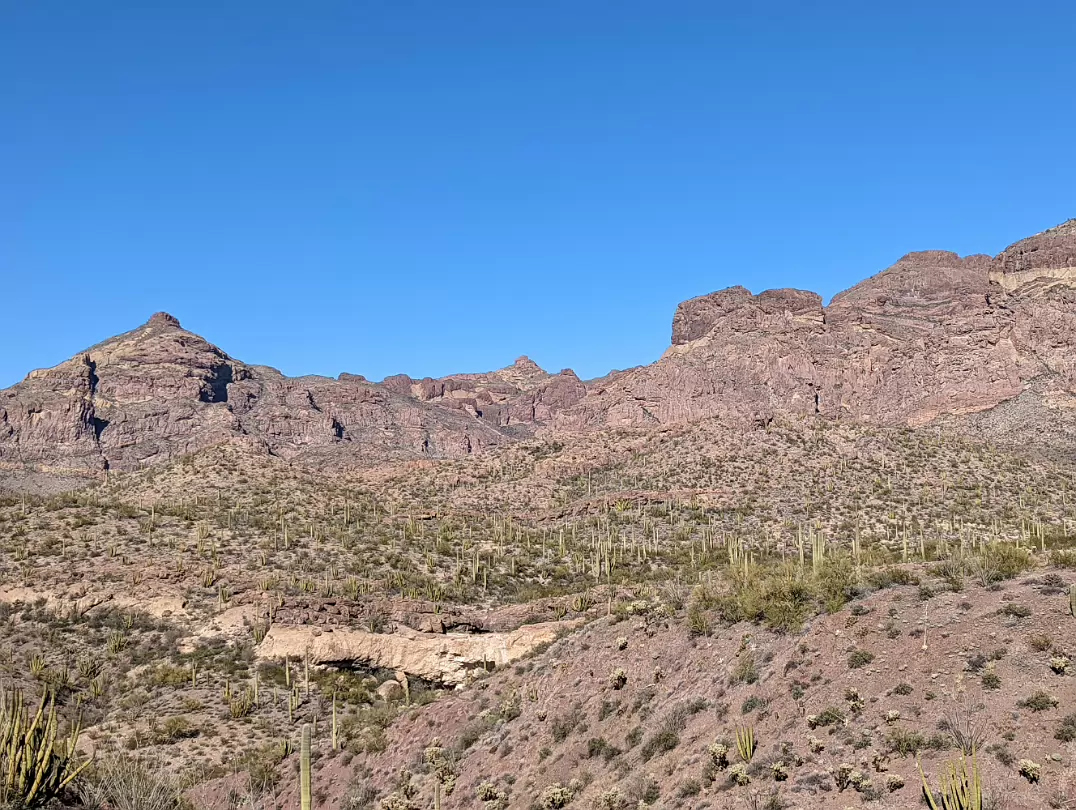 Southwest_2022-009