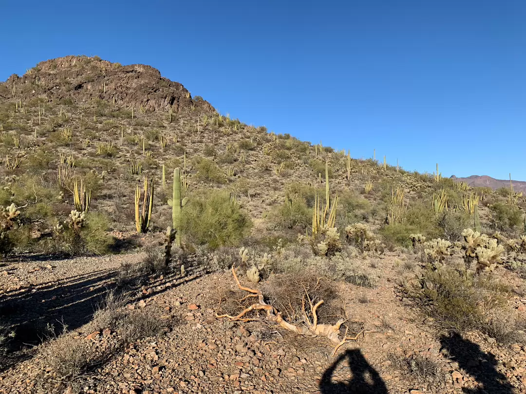 Southwest_2022-017