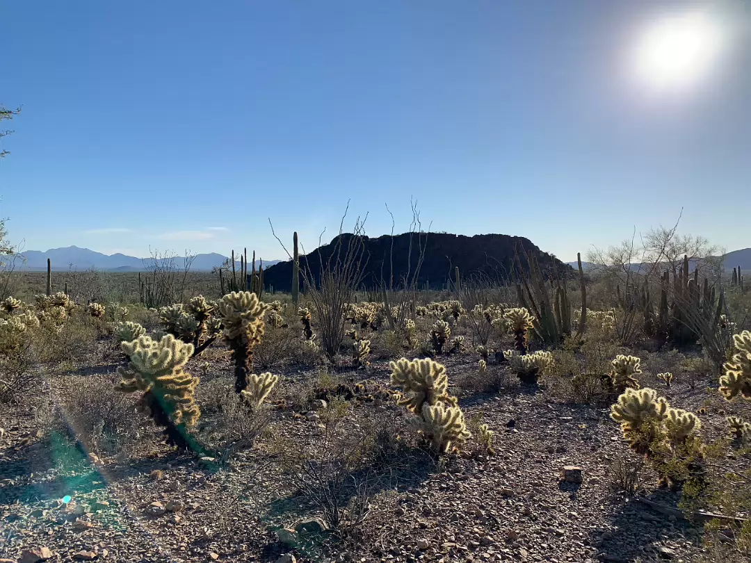 Southwest_2022-019