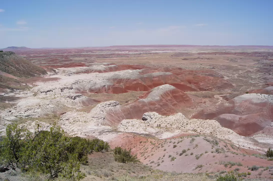 Arizona_2012-050