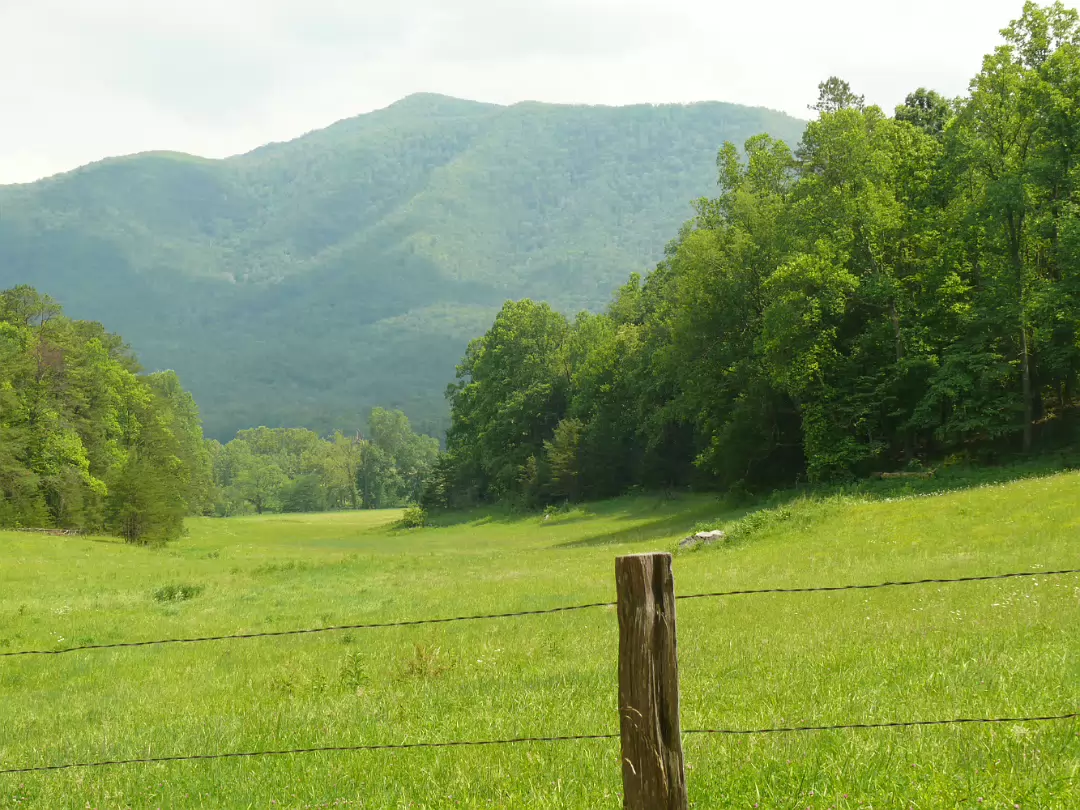 Tennessee-019