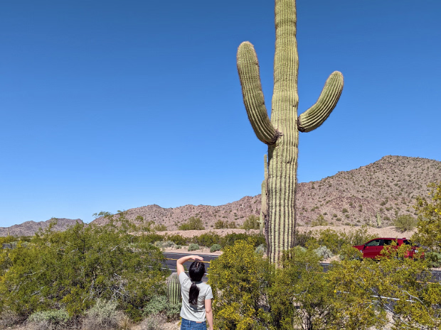 Southwest 2022 Our Visit to the Desert Southwest