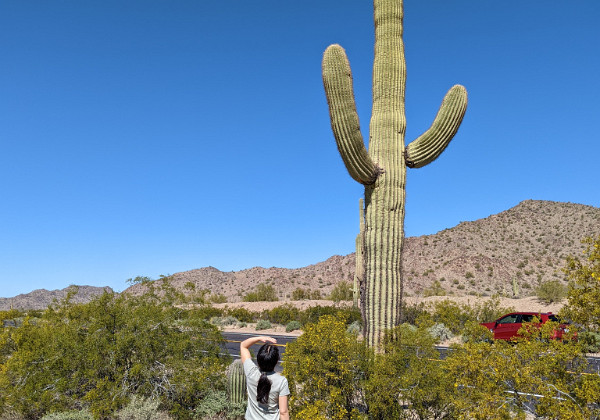 Southwest 2022 Southwest 2022 Our Visit to the Desert Southwest